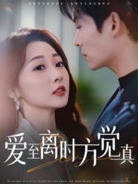 短剧《爱至离时方觉真 (2025)》全集免费在线观看-第1张图片-力界网