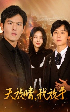 短剧《天放晴，我放手 (2025)》全集免费在线观看-第1张图片-力界网