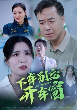 短剧《下车别忘开车窗 (2025)》全集免费在线观看-第1张图片-力界网