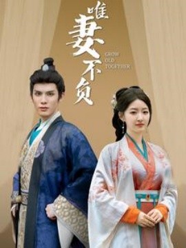 短剧《唯妻不负 (2025)》全集免费在线观看-第1张图片-力界网