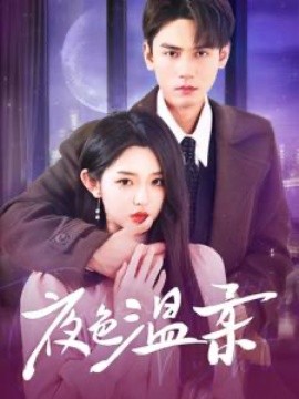 短剧《夜色温柔 (2025)》全集免费在线观看-第1张图片-力界网