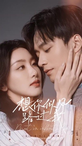 短剧《想你似风路过我 (2025)》全集免费在线观看-第1张图片-力界网