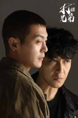短剧《打拐兄弟 (2025)》全集免费在线观看-第1张图片-力界网