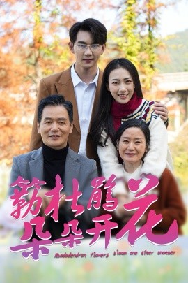 短剧《簕杜鹃花朵朵开 (2025)》全集免费在线观看-第1张图片-力界网