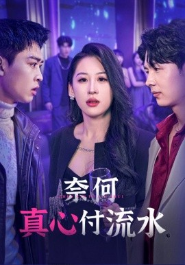 短剧《奈何真心付流水 (2025)》全集免费在线观看-第1张图片-力界网