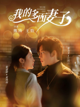 短剧《我的多面妻子 (2025)》全集免费在线观看-第1张图片-力界网