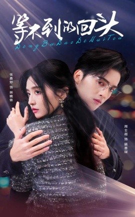 短剧《等不到的回头 (2025)》全集免费在线观看-第1张图片-力界网