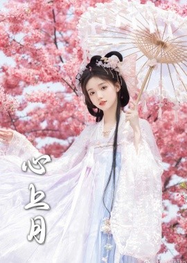 短剧《心上月 (2025)》全集免费在线观看-第1张图片-力界网