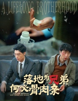 短剧《落地为兄弟，何必骨肉亲 (2025)》全集免费在线观看-第1张图片-力界网
