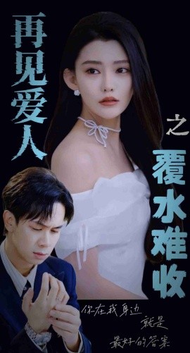 短剧《再见爱人之覆水难收 (2025)》全集免费在线观看-第1张图片-力界网
