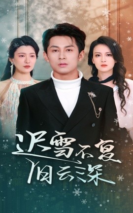 短剧《迟雪不复旧云深 (2025)》全集免费在线观看-第1张图片-力界网
