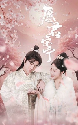 短剧《愿君安宁 (2025)》全集免费在线观看-第1张图片-力界网
