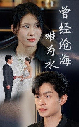 短剧《曾经沧海难为水 (2025)》全集免费在线观看-第1张图片-力界网