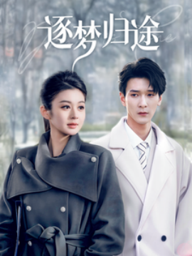 短剧《逐梦归途 (2025)》全集免费在线观看-第1张图片-力界网