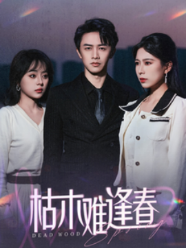 短剧《枯木难逢春 (2025)》全集免费在线观看-第1张图片-力界网