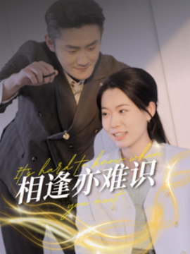 短剧《相逢亦难识 (2025)》全集免费在线观看-第1张图片-力界网