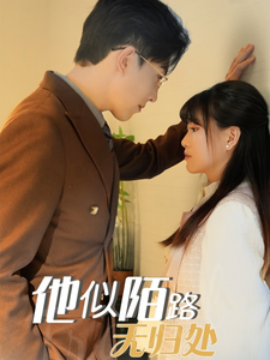 短剧《他似陌路无归处 (2025)》全集免费在线观看-第1张图片-力界网