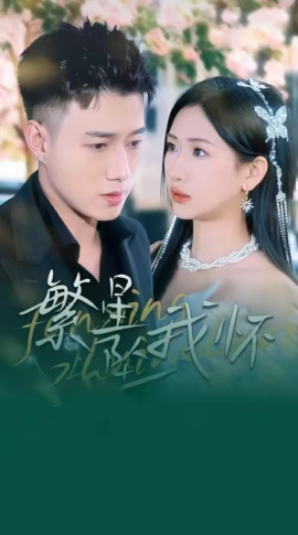 短剧《繁星坠我怀&再次爱上你（79集）黄文博＆张予湉 (2025)》全集免费在线观看-第1张图片-力界网