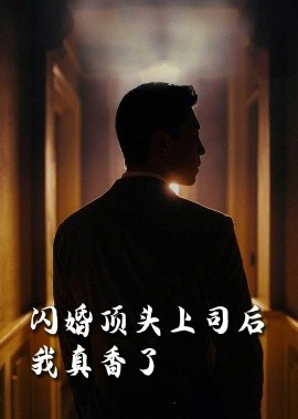 短剧《闪婚顶头上司后，我真香了（80集）潘悦铭&刘星辰&攒攒&袁颖 (2025)》全集免费在线观看-第1张图片-力界网