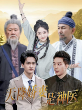 短剧《天降娇妻是神医（69集）(2025)》全集免费在线观看-第1张图片-力界网