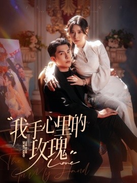 短剧《我手心里的玫瑰（91集）李佳琛＆韩琪 (2025)》全集免费在线观看-第1张图片-力界网