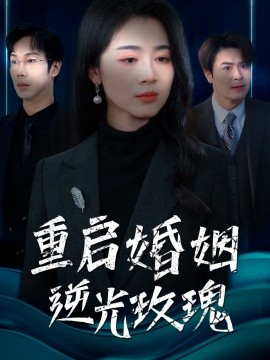 短剧《重启婚姻逆光玫瑰（40集）(2025)》全集免费在线观看-第1张图片-力界网