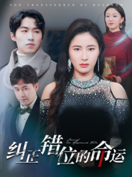 短剧《纠正错位的命运（76集）鞠瑾 (2025)》全集免费在线观看-第1张图片-力界网