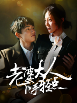 短剧《老婆大人下手轻点（30集）(2025)》全集免费在线观看-第1张图片-力界网