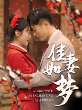 短剧《佳妻如梦（62集）(2025)》全集免费在线观看-第1张图片-力界网