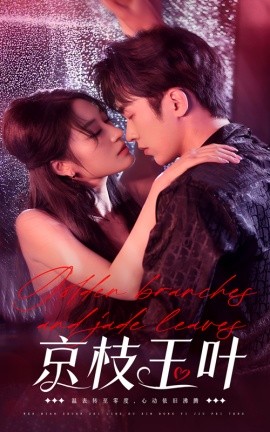 短剧《京枝玉叶（65集）吴竹熙＆宋喃 (2025)》全集免费在线观看-第1张图片-力界网