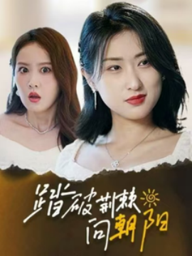 短剧《踏破荆棘向朝阳（80集）(2025)》全集免费在线观看-第1张图片-力界网