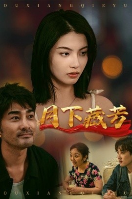 短剧《月下藏芳（62集）李梦 (2025)》全集免费在线观看-第1张图片-力界网