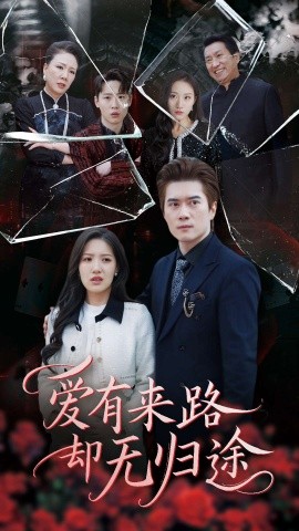 短剧《爱有来路却无归途（40集）(2025)》全集免费在线观看-第1张图片-力界网