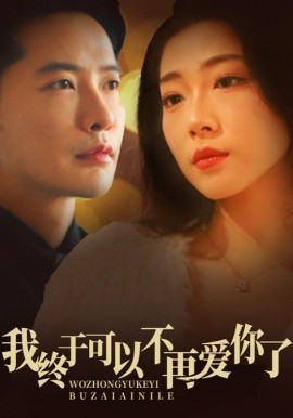 短剧《我终于可以不再爱你（60集）齐惠昭 (2025)》全集免费在线观看-第1张图片-力界网