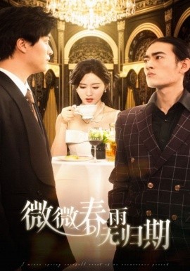 短剧《微微春雨无归期（65集）栩晨昱＆书雪漫 (2025)》全集免费在线观看-第1张图片-力界网