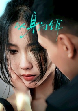 短剧《以身为饵（31集）王慧龙＆李瑾 (2025)》全集免费在线观看-第1张图片-力界网