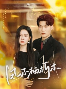 短剧《凤不栖朽木（80集）邓恒健＆郭怡凡 (2025)》全集免费在线观看-第1张图片-力界网