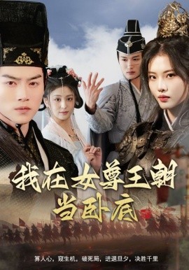 短剧《我在女尊王朝当卧底（99集）都钊&董洁＆张思琦＆李芊乐 (2025)》全集免费在线观看-第1张图片-力界网