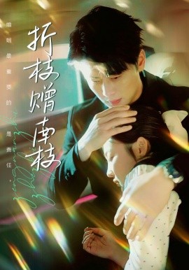 短剧《折枝赠南枝（80集）尹一博＆张若辰 (2025)》全集免费在线观看-第1张图片-力界网