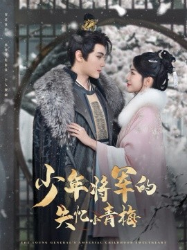 短剧《少年将军的失忆小青梅（100集）赵垣又＆牛湘鹭 (2025)》全集免费在线观看-第1张图片-力界网
