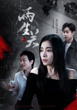 短剧《两生关（40集）张晓楠 (2025)》全集免费在线观看-第1张图片-力界网