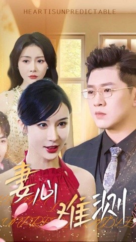 短剧《妻心难测（33集）林彤 (2025)》全集免费在线观看-第1张图片-力界网