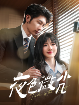 短剧《夜色微光（91集）王子林＆田甜一 (2025)》全集免费在线观看-第1张图片-力界网