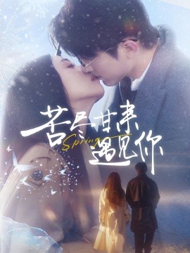 短剧《苦尽甘来遇见你（87集）张宇轩＆雷小米 (2025)》全集免费在线观看-第1张图片-力界网