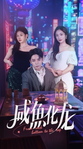 短剧《咸鱼化龙（30集）丁敬一&生宸 (2025)》全集免费在线观看-第1张图片-力界网