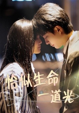 短剧《恰似生命一道光（60集）柳田&罗茂阳 (2025)》全集免费在线观看-第1张图片-力界网