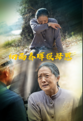 短剧《细雨春晖报母恩（30集）周婷&夏家顺 (2025)》全集免费在线观看-第1张图片-力界网