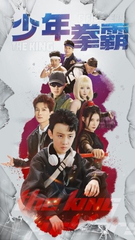 短剧《少年拳霸（60集）刘灿&徐科 (2025)》全集免费在线观看-第1张图片-力界网
