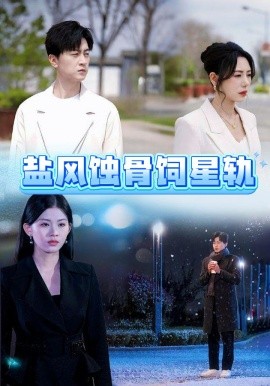 短剧《盐风蚀骨饲星轨（60集）王鹏 (2025)》全集免费在线观看-第1张图片-力界网