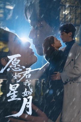 短剧《愿君如星我如月（77集）李云鹏&许子吟&徐诗瑶&贺颖怡&杨景景 (2025)》全集免费在线观看-第1张图片-力界网